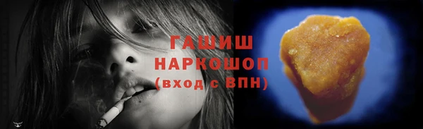 дмт Гусев
