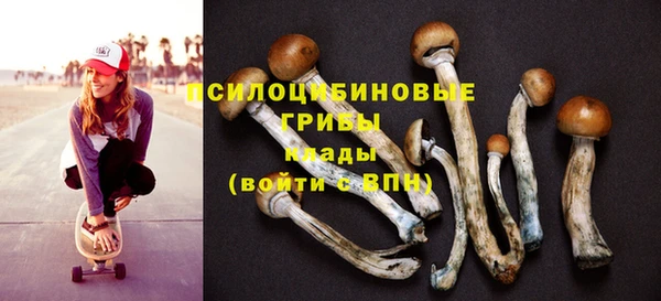 альфа пвп Горняк