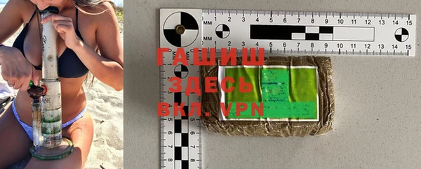 дмт Гусев