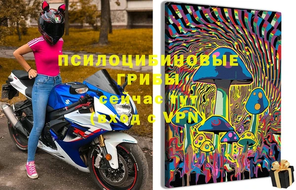 ешки Гусиноозёрск