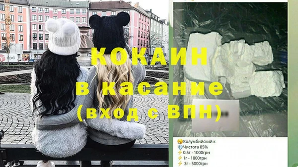 дмт Гусев