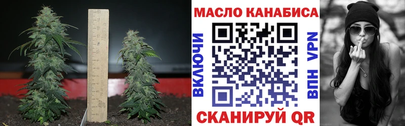 ТГК концентрат  OMG ссылка  Кимовск 