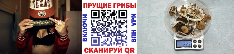 Галлюциногенные грибы MAGIC MUSHROOMS  купить наркотик  Кимовск 